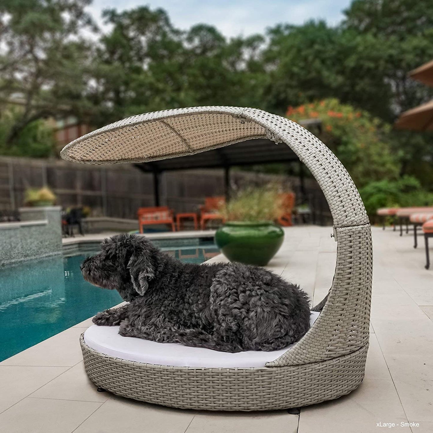 Outdoor Dog Chaise Bed W/Shade Hood, Waterproof Poly Rattan Lounger with Washable Cushion, Smoke, Chaise-Sk-Amz