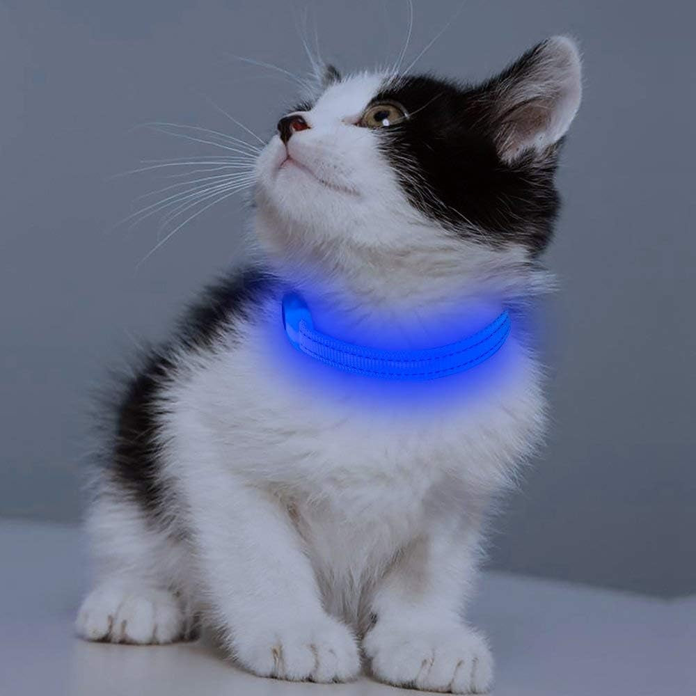 Puppy LED Dog Collars - USB Rechargeable Light up Dog Collar Adjustable Reflective Pet Collars Keep Your Small Dogs and Cats Be Seen & Safe in the Dark (XS, Royal Blue)