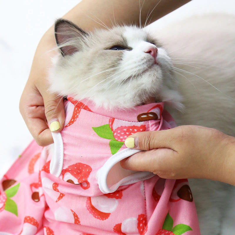 Printing Cat Sterilization Suit Anti-Licking Surgery after Recovery Pet Care Breathable Clothes Spring Summer Cat Clothing