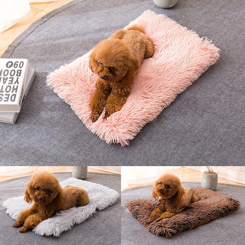 Round Plush Dog Cat Bed Pet House Mat Soft Puppy Cat Cushion Mat Small Dog Beds for Dogs Cats Winter Warm Sleeping Bed